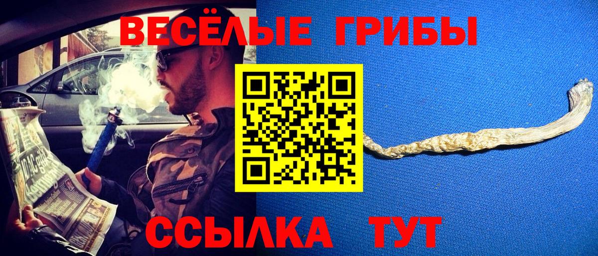 Псилоцибиновые грибы мицелий Челябинск